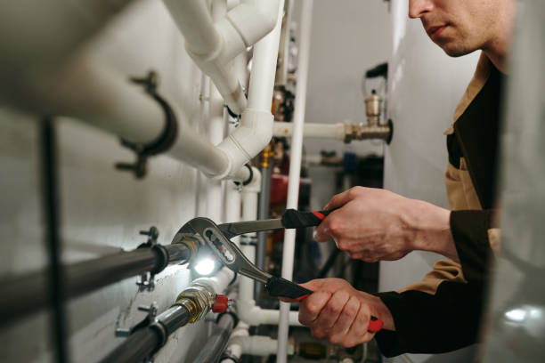Best Clogged Drain Plumber  in Ferry Pass, FL